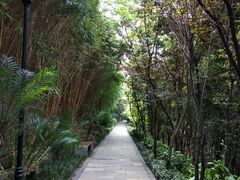 -龙头寺公园