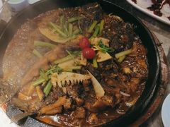 -老板恋上鱼(恒隆广场店)