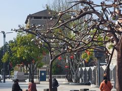 -均和墟历史街区-平和大押