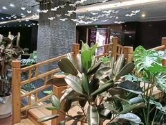 -新廊桥(原科华廊桥店)