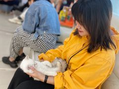 -lincat·猫舍(广州店)