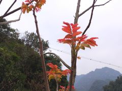 -十八重溪