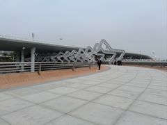-演武大桥观景平台