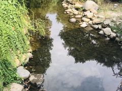 -白马涧龙池景区