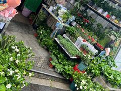 -循礼门鲜花花市(武汉循礼门店)