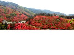 -木兰云雾山