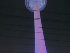 -辽宁电视塔