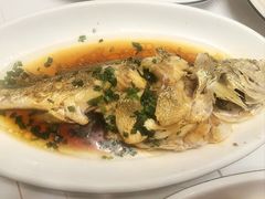 -金海湾海鲜排档(朱家尖店)