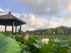 -上海怡沁园度假酒店
