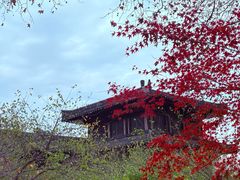 -习家池