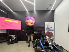 -赛卡联盟卡丁车馆(上海世博店)