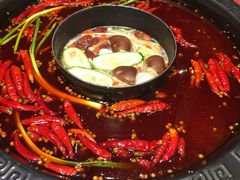 鸳鸯锅-蜀大侠火锅(建设路第五大道店)