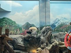 -武汉动物园