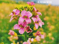 -沣峪口