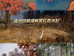 -四明湖