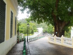 -龙环葡韵住宅式博物馆
