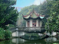 -叶家花园