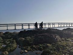 -星海湾跨海大桥