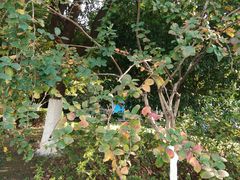 -海景壹号大酒店(滨湖店)