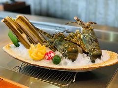 澳洲龙虾-岩也·日料与酒(龙岗天安云谷店)