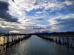 -盐洲岛