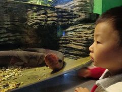 -常州海昌海洋探索馆
