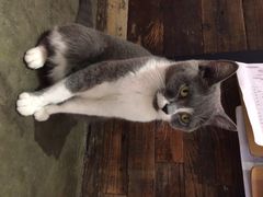 iphone_upload_pic-MIKAKU(万达广场上海宝山店)