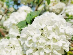 -大龙山(地铁站)