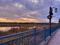 -上海海昌海洋公园