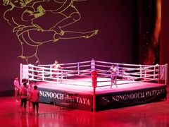 民俗表演-东芭乐园