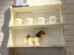 -Green wood coffee绿木咖啡