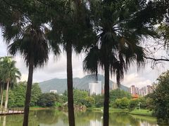 -四海公园(南山区)