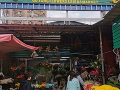 -曲阳花鸟市场(曲阳路店)