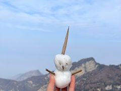 -少华山国家森林公园