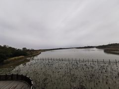 -东滩湿地公园观海楼餐厅