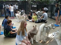 -TrueLove @ Neverland (Husky Cafe)