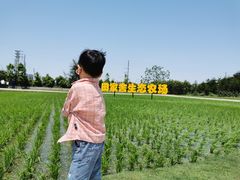 -迪茵湖田家舍生态农场