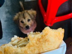 -家阳赵师傅油饼包烧麦(粮道街店)