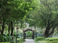 -东莞植物园