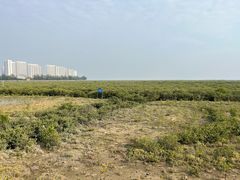 -北海金海湾红树林生态旅游区