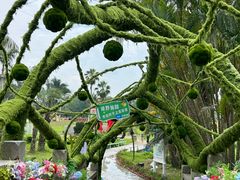 -东南花都花博园