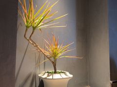 -聚宝源(什刹海·鼓楼店)