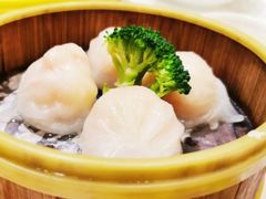 招牌鲜虾饺-北海渔村酒楼·粤菜海鲜点心(新华店)