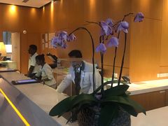 -新加坡柏薇罗切斯特酒店