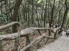 -梧桐山风景名胜区