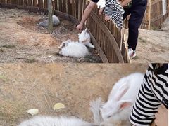 -昆明洲际酒店