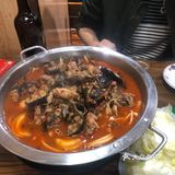 鲶鱼炖🐔撑死老爷子👴