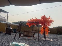 -DGE季风钓虾营地·团建·聚会