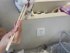 -怪兽屋·羊驼·猫咖·狗咖(俊华广场店)