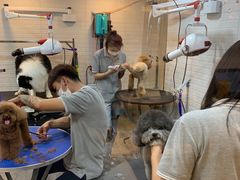 -PETKIT小佩宠物(古北店)